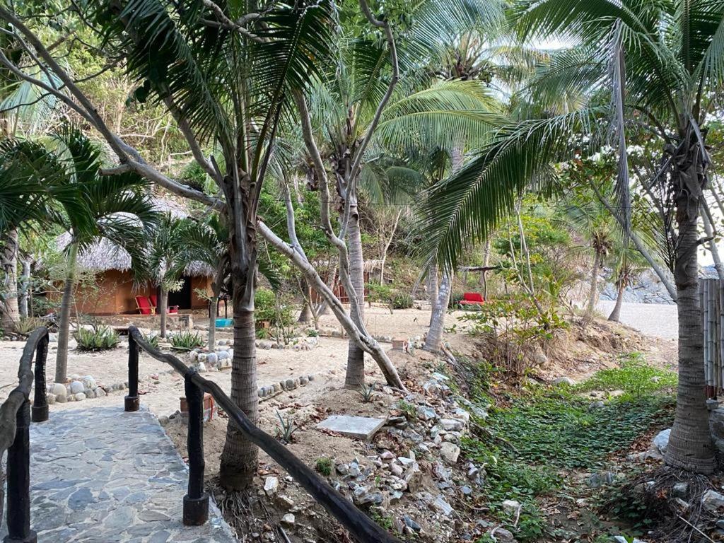 Hotel Bahia De La Luna Arroyo Cruz Extérieur photo