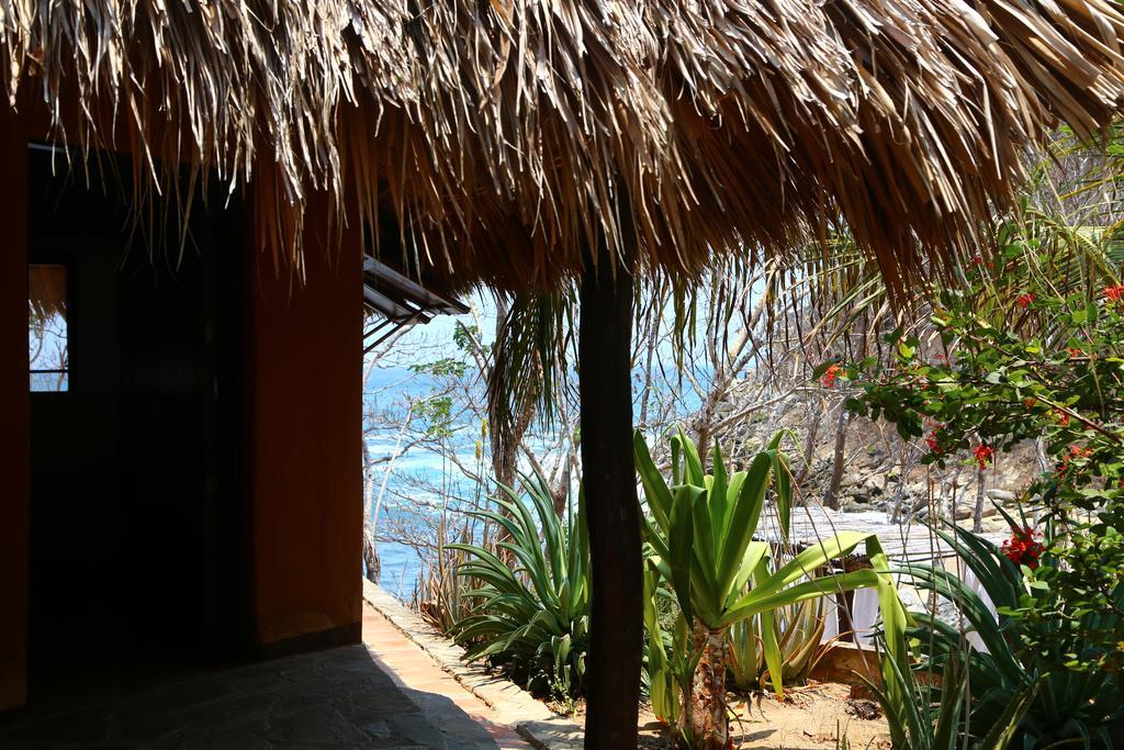 Hotel Bahia De La Luna Arroyo Cruz Extérieur photo