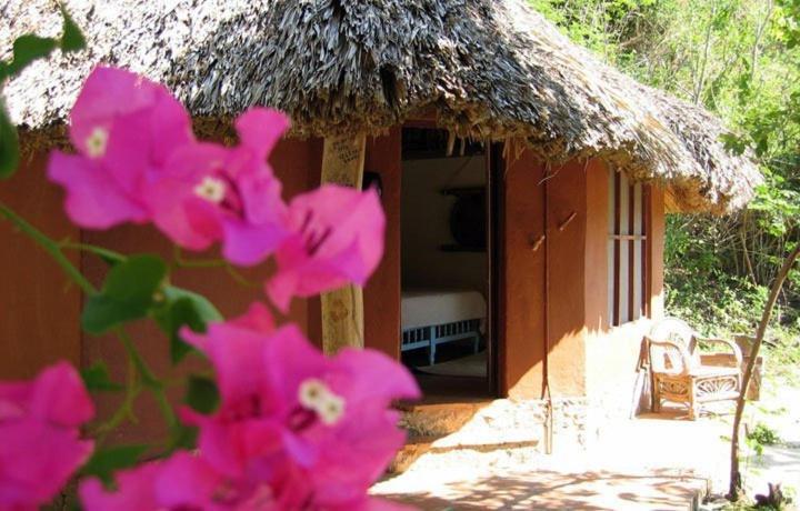 Hotel Bahia De La Luna Arroyo Cruz Extérieur photo